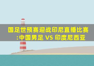 国足世预赛迎战印尼直播比赛:中国男足 VS 印度尼西亚